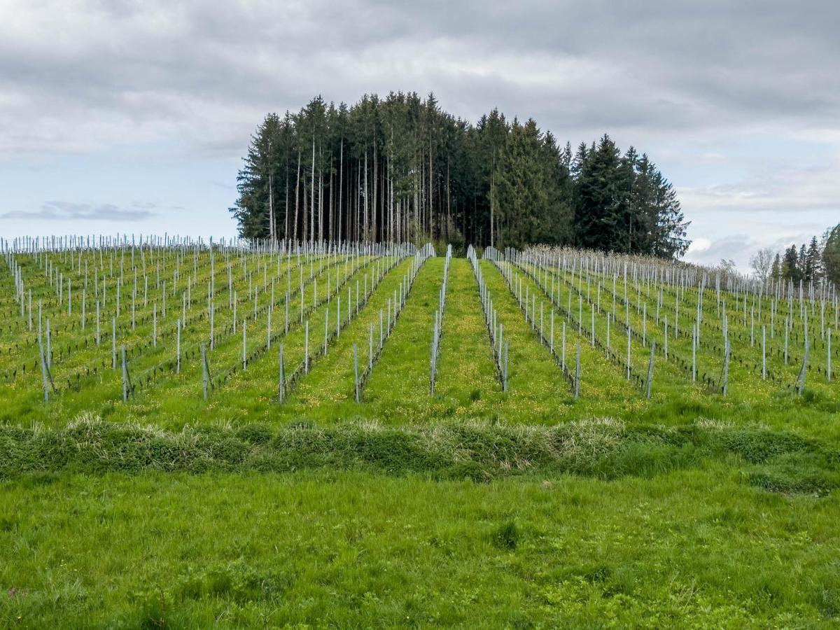 Haus Barbara, Ferienwohnung, 90Qm Unterreitnau Eksteriør bilde